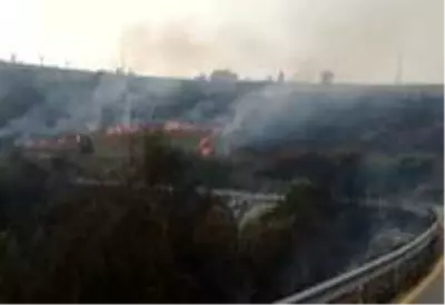 Kocaeli'nin 11 bölgesinde orman yangınları çıktı Kocaeli'nin 11 bölgesinde orman yangınları çıktı