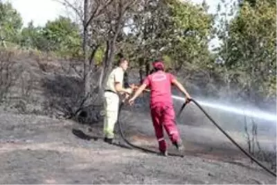 Kocaeli'nin 11 bölgesinde orman yangınları çıktı Kocaeli'nin 11 bölgesinde orman yangınları çıktı