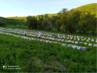 Mardin'de bal hasadı başladı Mardin'de bal hasadı başladı