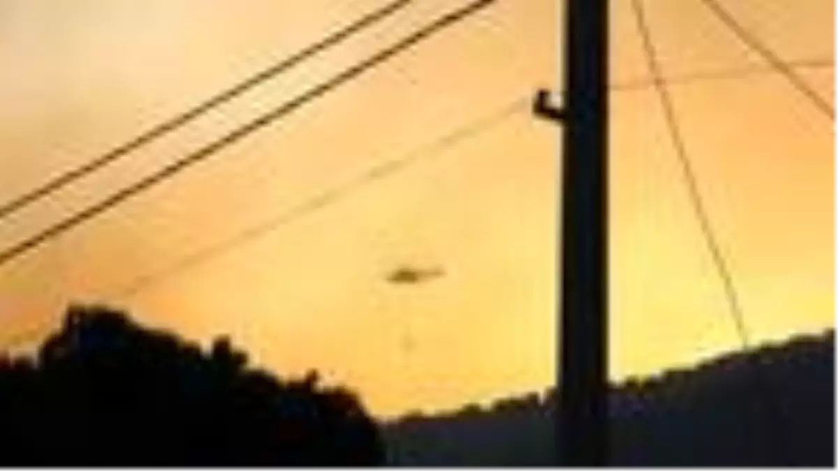 Söke'de ziraat alanındaki yangın ormana sıçradı (2)