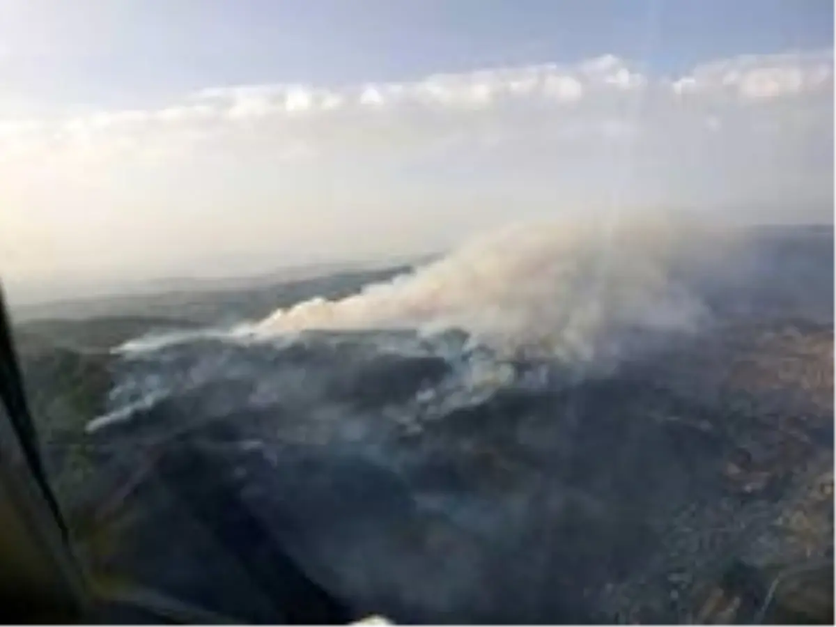 Söke'deki yangın Dilek Yarımadası Milli Parkı'nı tehdit ediyor