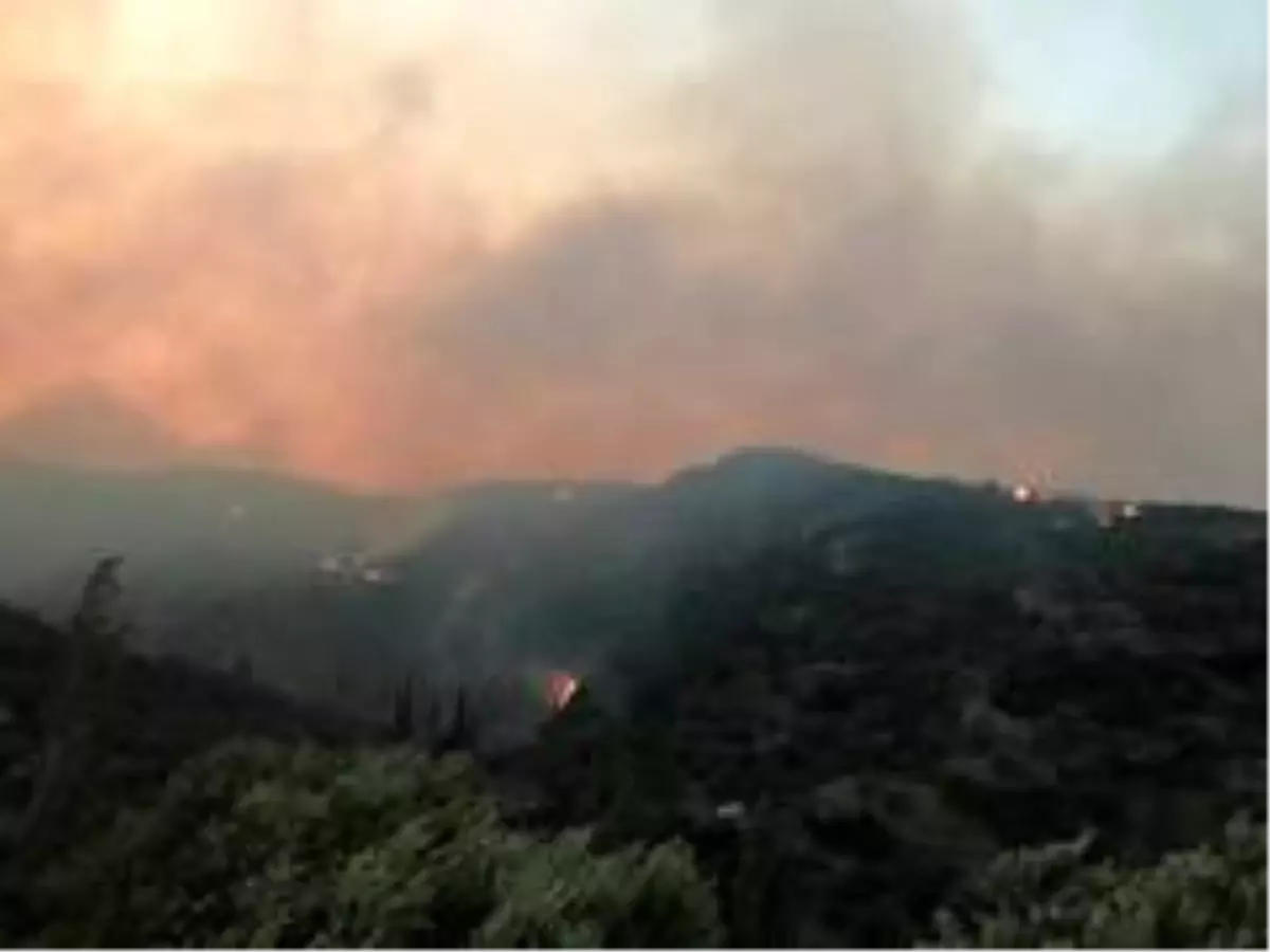 Son dakika haberleri | Söke'deki yangında tedbir amaçlı 50 ev tahliye edildi