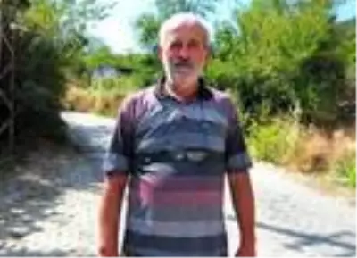 Spil Dağı'ndaki yılkı atlarının envanteri çıkarıldı Spil Dağı'ndaki yılkı atlarının envanteri çıkarıldı