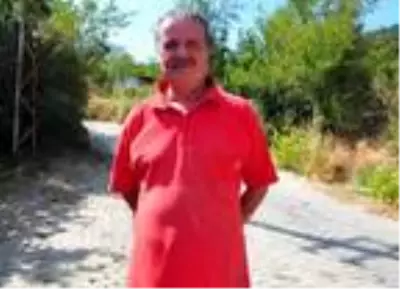 Spil Dağı'ndaki yılkı atlarının envanteri çıkarıldı Spil Dağı'ndaki yılkı atlarının envanteri çıkarıldı