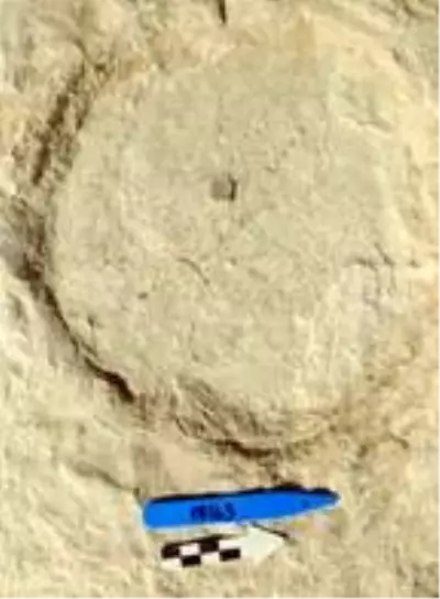Suudi Arabistan'da 120 bin yıllık ayak izi keşfedildi Suudi Arabistan'da 120 bin yıllık ayak izi keşfedildi