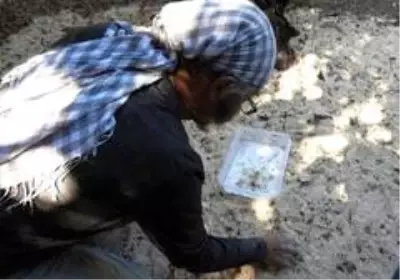 Türkiye ile Yunanistan'ın sakız düellosu