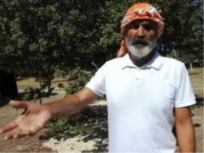 Türkiye ile Yunanistan'ın sakız düellosu