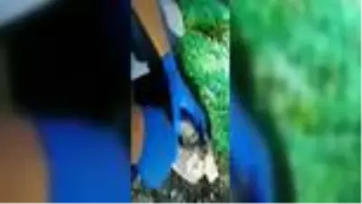 Uygulama noktasında durdurulan araçta 18 kilogram esrar ele geçirildi Uygulama noktasında durdurulan araçta 18 kilogram esrar ele geçirildi