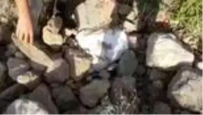 Van'da taşların altına gizlenmiş 71 kilo eroin ele geçirildi Van'da taşların altına gizlenmiş 71 kilo eroin ele geçirildi