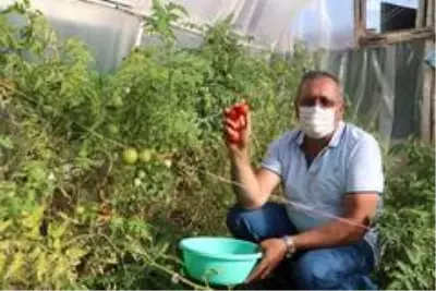 Kırk yıl siyaset yaptı, huzuru toprakta buldu Kırk yıl siyaset yaptı, huzuru toprakta buldu