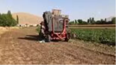 Son dakika haber | Ağabeyinin kullandığı traktörün altında kalan kişi öldü Son dakika haber | Ağabeyinin kullandığı traktörün altında kalan kişi öldü