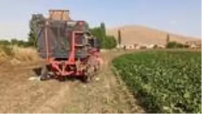 Son dakika haber | Ağabeyinin kullandığı traktörün altında kalan kişi öldü Son dakika haber | Ağabeyinin kullandığı traktörün altında kalan kişi öldü