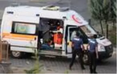 alacak kavgası: 2 yaralı alacak kavgası: 2 yaralı