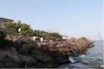 Amatör balıkçılar, kapanan avlaklarının açılmasını istedi Amatör balıkçılar, kapanan avlaklarının açılmasını istedi