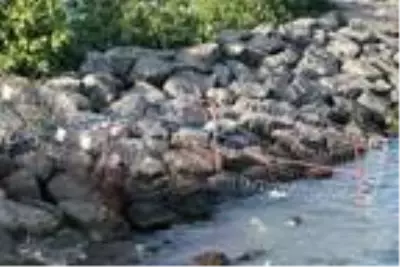 Amatör balıkçılar, kapanan avlaklarının açılmasını istedi Amatör balıkçılar, kapanan avlaklarının açılmasını istedi