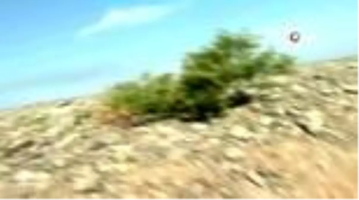 Azerbaycan-Ermenistan temas hattında şiddetli çatışmalar devam ediyorAzerbaycan'ın karşı...