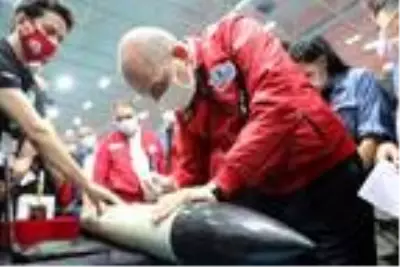 Son dakika haberi... İçişleri Bakanı Süleyman Soylu TEKNOFEST'i ziyaret etti Son dakika haberi... İçişleri Bakanı Süleyman Soylu TEKNOFEST'i ziyaret etti