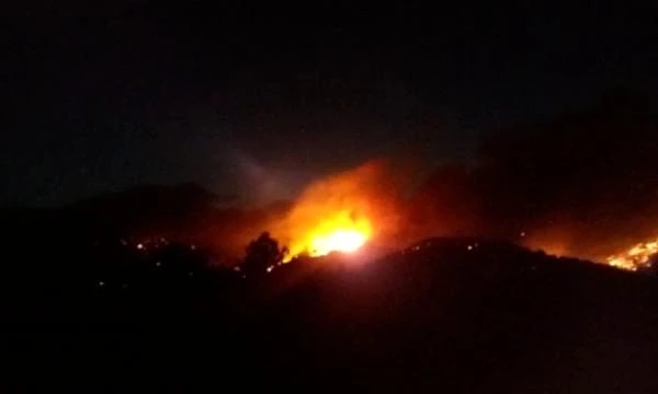 Bergama'daki İvrindi'ye de sıçrayan yangında toplam 100 hektar orman küle döndü