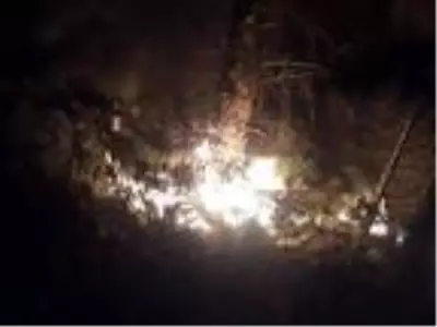 Son dakika... Bergama'da orman yangını (3) Son dakika... Bergama'da orman yangını (3)