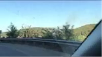Beykoz'da ormanlık alanda çıkan yangın söndürüldü Beykoz'da ormanlık alanda çıkan yangın söndürüldü