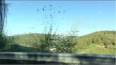 Beykoz'da ormanlık alanda çıkan yangın söndürüldü Beykoz'da ormanlık alanda çıkan yangın söndürüldü