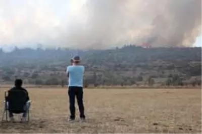 Bolu'da orman yangınına müdahale sürüyor Bolu'da orman yangınına müdahale sürüyor