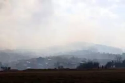 Bolu'da orman yangınına müdahale sürüyor Bolu'da orman yangınına müdahale sürüyor