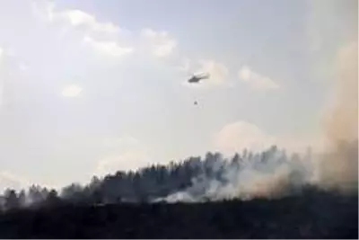 Bolu'da yangın 40 hektarlık alanda etkili oluyor Bolu'da yangın 40 hektarlık alanda etkili oluyor