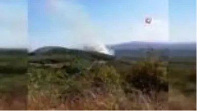 Bursa'da orman yangını Bursa'da orman yangını