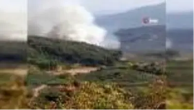 Bursa'da orman yangını Bursa'da orman yangını