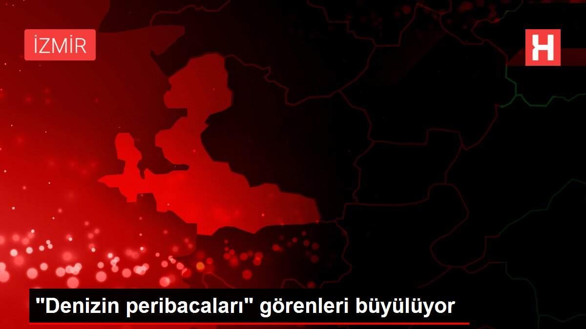 'Denizin peribacaları' görenleri büyülüyor