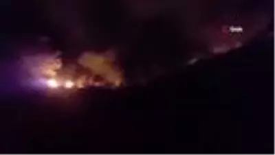 Düzce'de orman yangınına müdahale sürüyor Düzce'de orman yangınına müdahale sürüyor