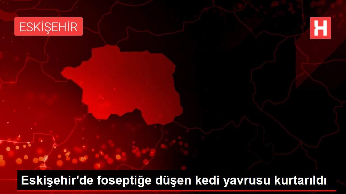 Eskişehir'de foseptiğe düşen kedi yavrusu kurtarıldı