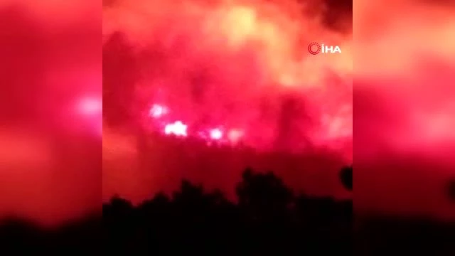Son dakika haberleri... İzmir'de başlayan yangın Balıkesir'e dayandı