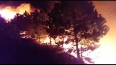 İzmir'de ormanlık alanda çıkan yangın kontrol altında İzmir'de ormanlık alanda çıkan yangın kontrol altında