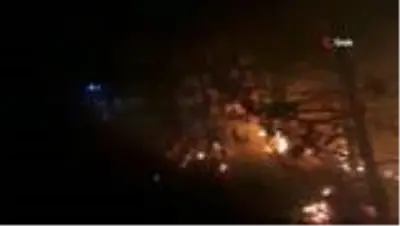 Son dakika haberleri... İzmir'deki orman yangını sonrası ağır bilanço: Onlarca hektar ormanlık alan küle döndü Son dakika haberleri... İzmir'deki orman yangını sonrası ağır bilanço: Onlarca hektar ormanlık alan küle döndü