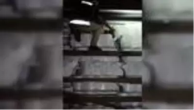 Son dakika haber... Kaçak sigara operasyonu Son dakika haber... Kaçak sigara operasyonu