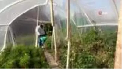 Kırk yıl siyaset yaptı, huzuru toprakta buldu Kırk yıl siyaset yaptı, huzuru toprakta buldu