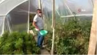 Kırk yıl siyaset yaptı, huzuru toprakta buldu Kırk yıl siyaset yaptı, huzuru toprakta buldu