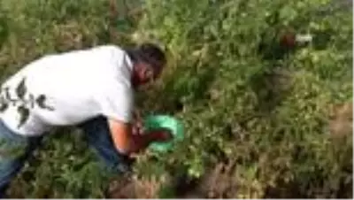 Kırk yıl siyaset yaptı, huzuru toprakta buldu Kırk yıl siyaset yaptı, huzuru toprakta buldu
