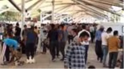 Şanlıurfa'da güvercin pazarında korona denetimi Şanlıurfa'da güvercin pazarında korona denetimi