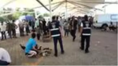 Şanlıurfa'da güvercin pazarında korona denetimi Şanlıurfa'da güvercin pazarında korona denetimi