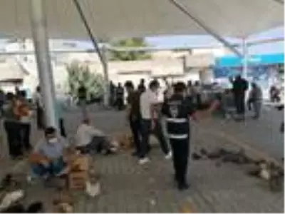 Şanlıurfa'da güvercin pazarında korona denetimi Şanlıurfa'da güvercin pazarında korona denetimi