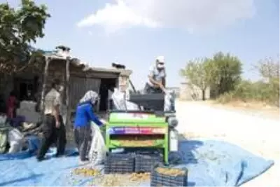 Mersin Büyükşehir Belediyesi'nden badem üreticilerine makine desteği Mersin Büyükşehir Belediyesi'nden badem üreticilerine makine desteği