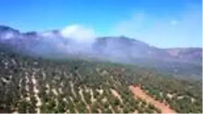 Son dakika haberi... Mudanya'da ormanlık alanda çıkan yangın kontrol altına alındı Son dakika haberi... Mudanya'da ormanlık alanda çıkan yangın kontrol altına alındı
