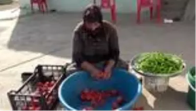 Muş'ta kışlık konserve hazırlığı Muş'ta kışlık konserve hazırlığı