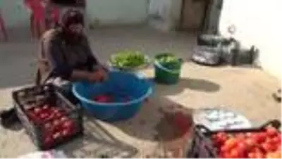 Muş'ta kışlık konserve hazırlığı Muş'ta kışlık konserve hazırlığı