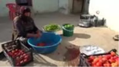 Muş'ta kışlık konserve hazırlığı Muş'ta kışlık konserve hazırlığı
