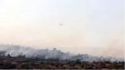 Orman yangınına müdahale ediliyor - Vali Ahmet Ümit Orman yangınına müdahale ediliyor - Vali Ahmet Ümit