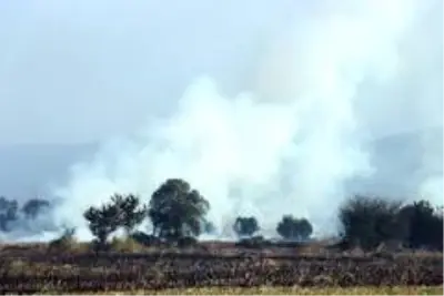 Son dakika haber... Sakarya'da anız yangını dumanları şehri kapladı Son dakika haber... Sakarya'da anız yangını dumanları şehri kapladı